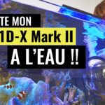 VLOG-BATZ-SUR-MER-TEST-CAISSON-AQUATECH-DELPHIN-1DX-MARK-II