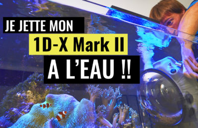 VLOG-BATZ-SUR-MER-TEST-CAISSON-AQUATECH-DELPHIN-1DX-MARK-II